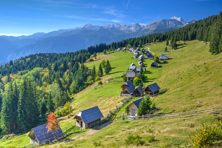 Pokljuka Mountain Biking image