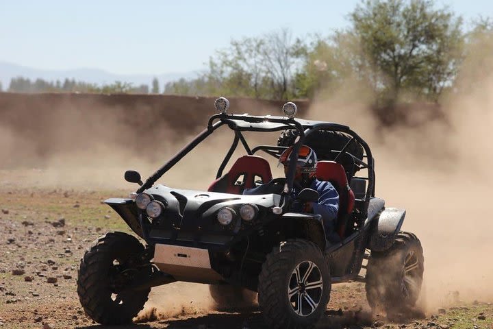 HALF DAY Buggy Palmeraie Marrakech image