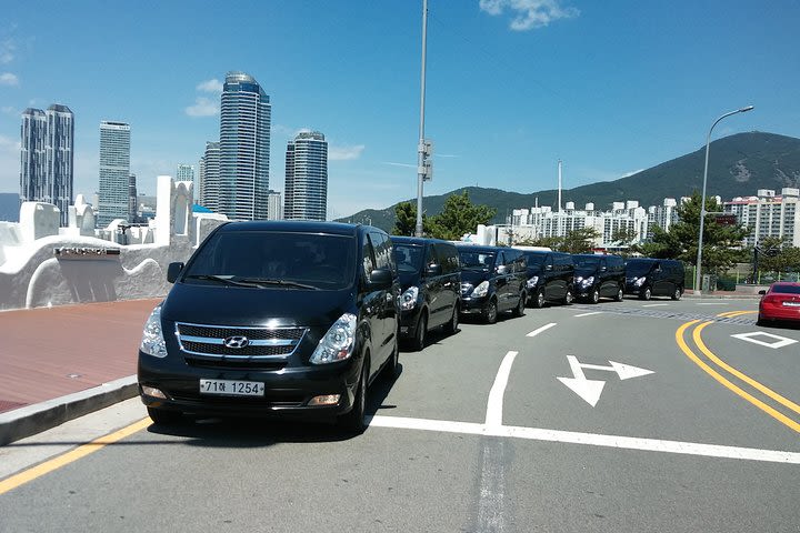 Seoul Private Charter (4 or 8 hours) image