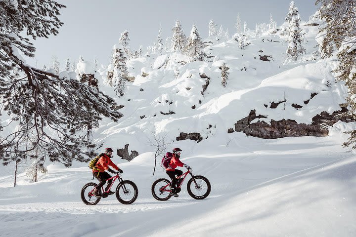 Electric Fatbike Tour in the Pyhä-Luosto National Park image