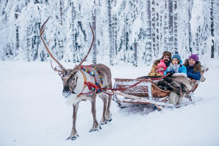 Highlights of Rovaniemi (Santa Claus Village+Reindeer & Husky Sledge Ride) image