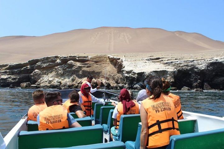 Ballestas Island image