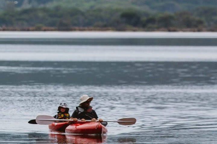 Boat Hire Experience On Wonboyn Lake - Half Day image