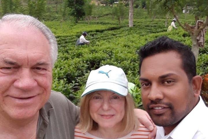 Shore Excursion from Colombo port passenger pier to Ceylon Tea plantation image