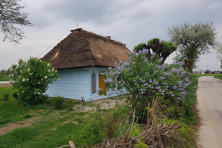 Zalipie- painted village, private tour from Krakow image