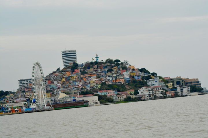 Half Day: Santay Island & Guayaquil History, Nature and Traditions image