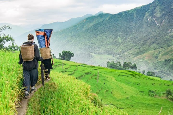 Immerse in the real beauty of Sapa:local life,culture,roads,mountain&rice fields image