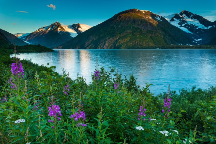 Turnagain Arm Highlights image