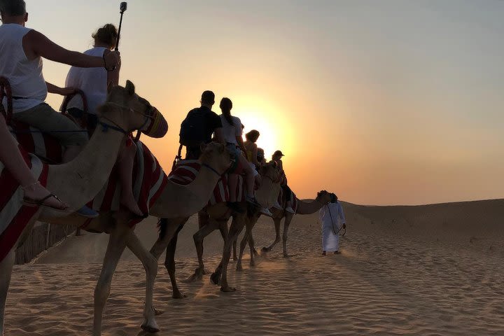 Sunrise Camel Caravan with Sand boarding and Breakfast image