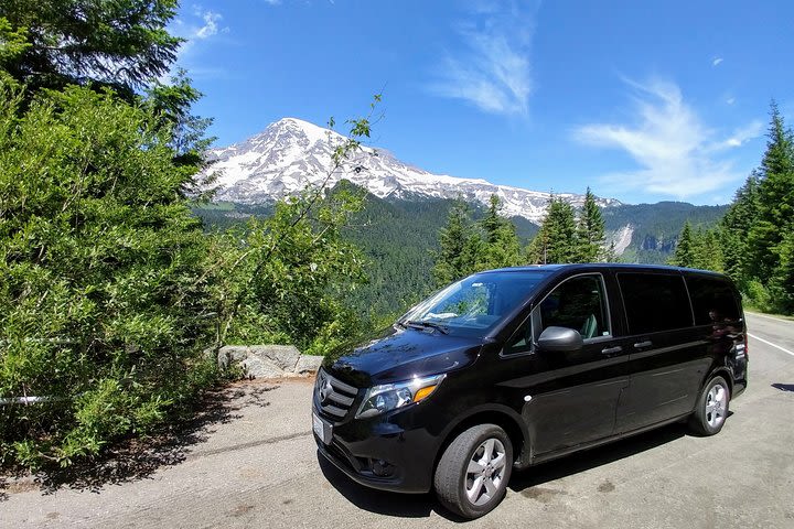 Mount Rainier National Park - Private Luxury Day Tour with Lunch image
