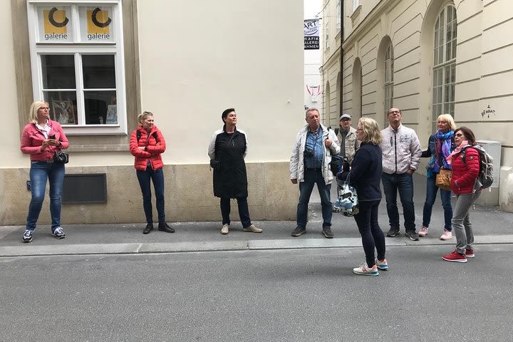 Private, Half-Day Tour of Vienna image