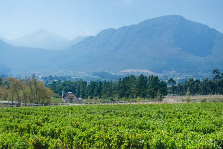 Franschhoek Winelands Luxury EBike Tour image