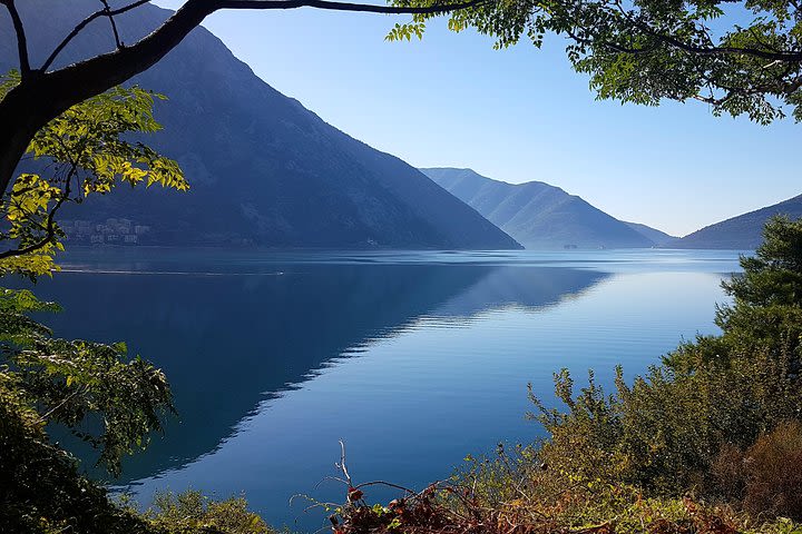 Private Bay of Kotor tour (incl. Perast + Our Lady of The Rocks) from Dubrovnik image