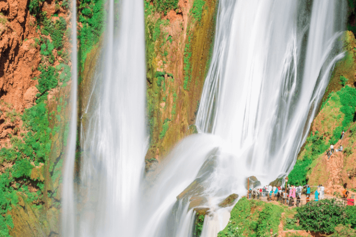 Marrakech to Ouzoud Waterfalls: One-Day Trip. image