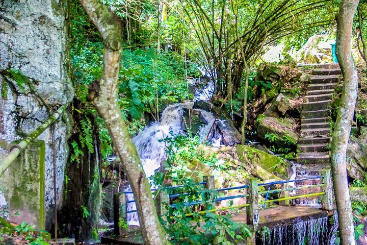 Erin Ijesha Waterfall Excursion image