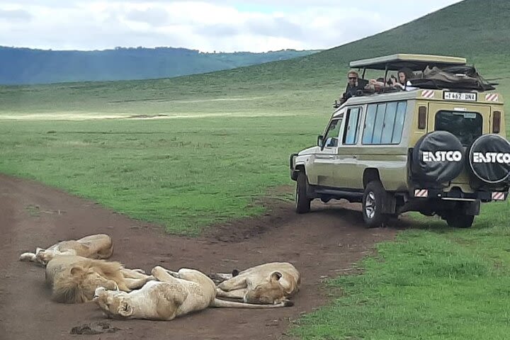 7-Day Great Migration Safari image