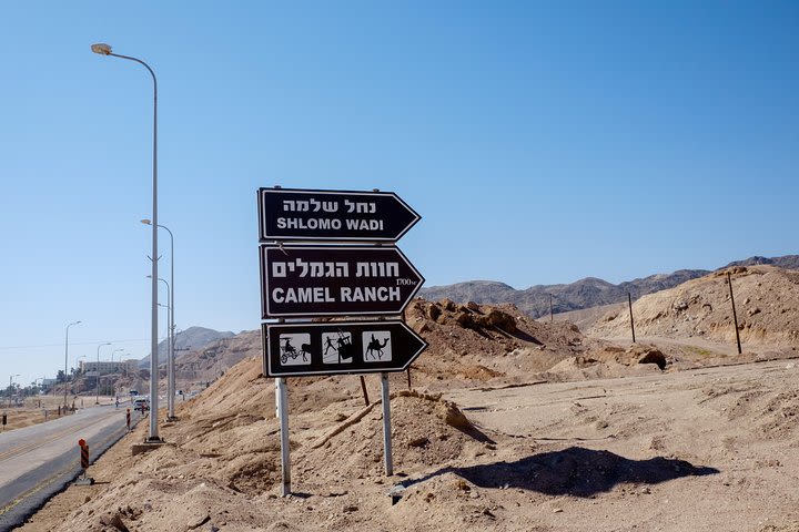 Donkey Cart trip in the Eilat Mountains image