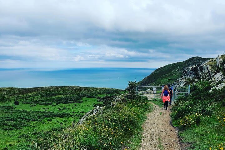 Guided Coastal Walk - Greystones to Bray image