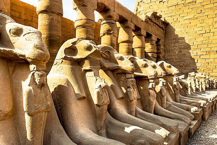 Private Full Day Luxor Tour with Lunch, Guide and Pick Up image