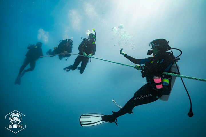 Open Water Course image