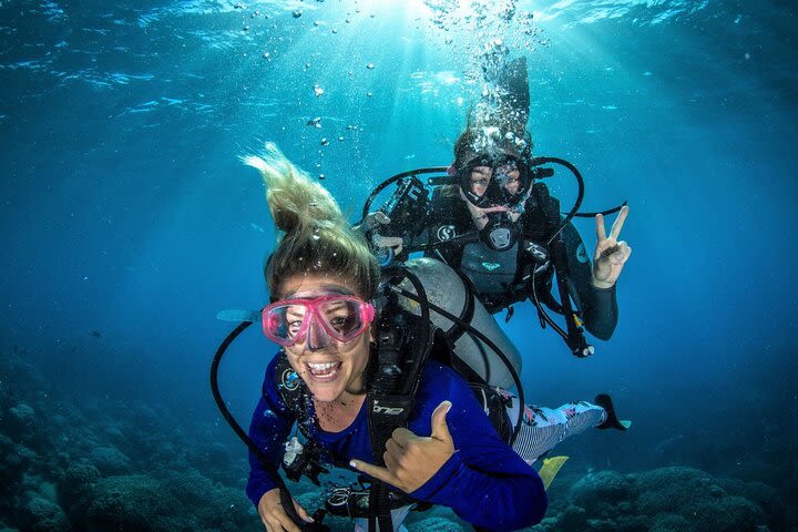 Try Scuba Diving Experience in Fujairah image