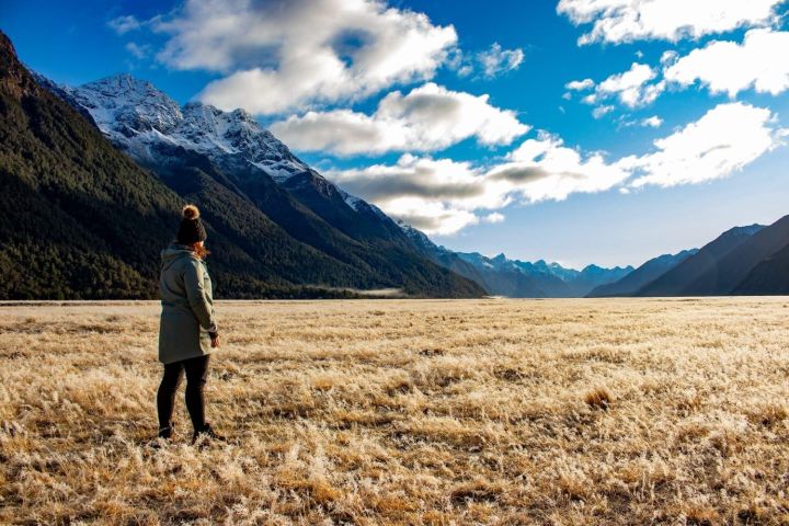 Milford Sound Scenic Cruise & Lunch image