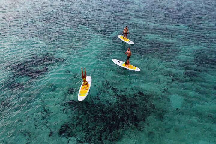 Paddle board at sunrise and photos with drone image