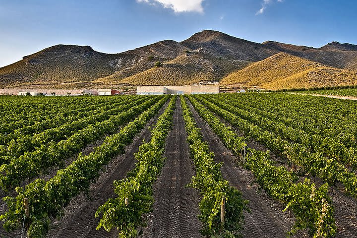 Cultural getaway and wine tourism 3 days in Murcia image