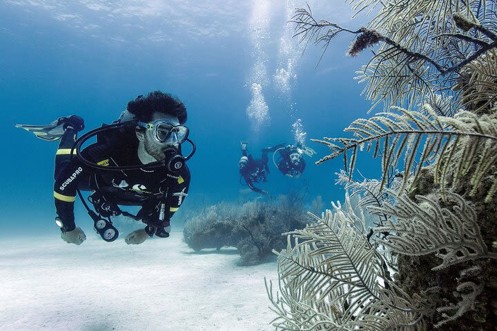 2 Tank Dive (for certified divers) image