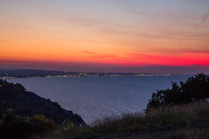 Fireflies and Lanterns in the Monte San Bartolo Park - Private Tour image