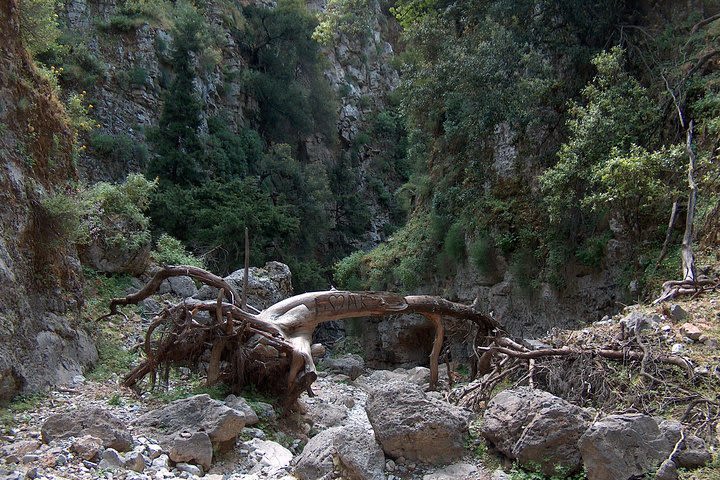 Imbros Gorge and Libyan Sea Day Tour From Chania image