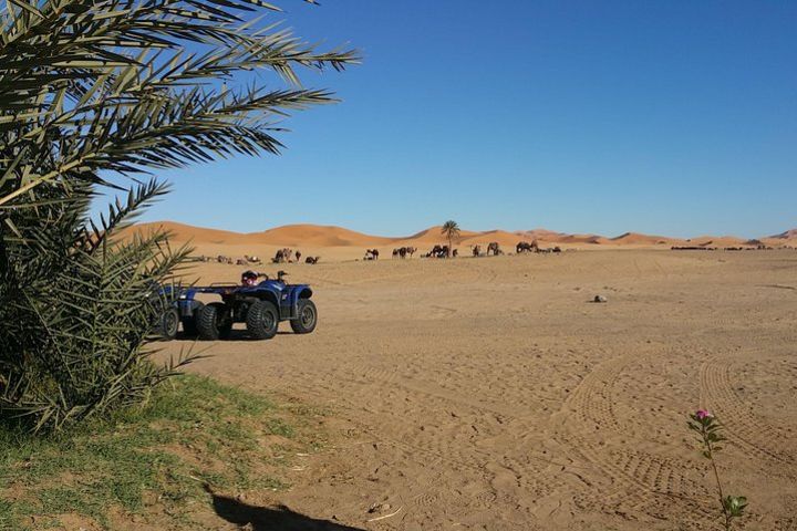 ✅ Quad Biking in Merzouga Dunes Desert Erg Chebbi image