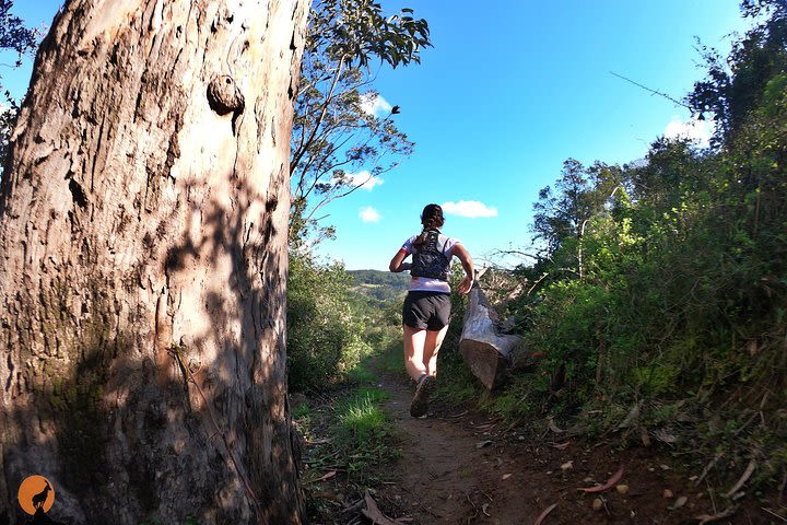 Trail Running in Coimbra image