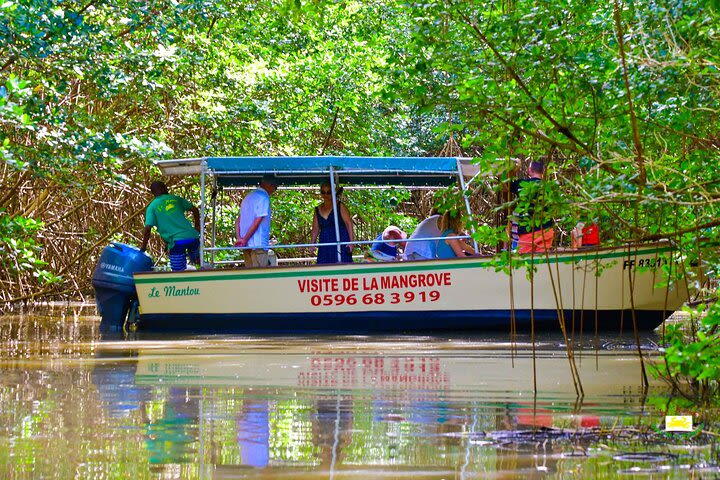 Mangrove Guided Tour image