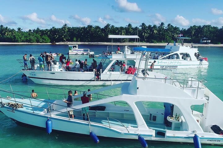 Party Boat / VIP Booze Cruise with Snorkeling  image