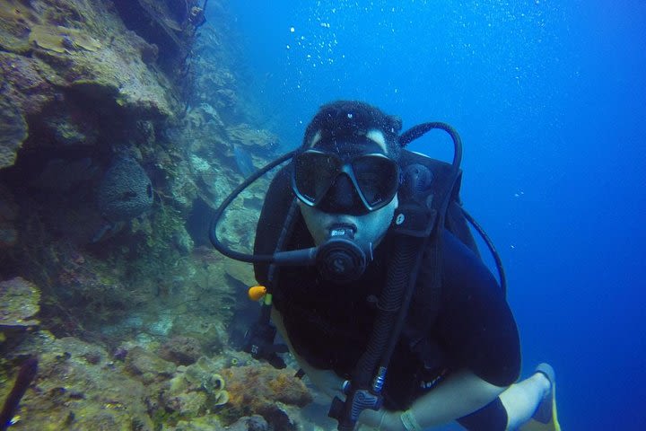 Diving Catalina Island image