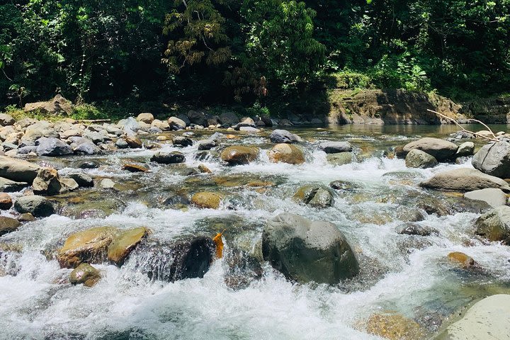 From Concrete Jungle to Actual Jungle: Private Puerto Rico Tour image