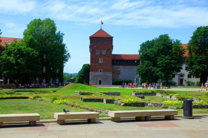 Wawel: Complete Guided Tour in English  image