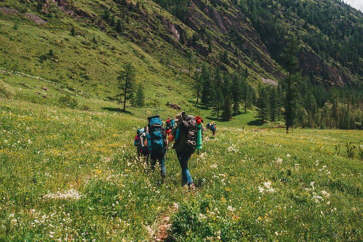 15-day Trekking Tour in Siberia Altai Mountains image