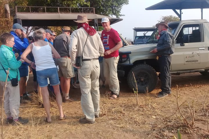 chobe national park 9hr full day game drive image