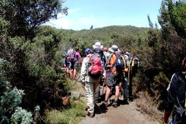 Mt. Kilimanjaro 6 Days Trek - Marangu Route image