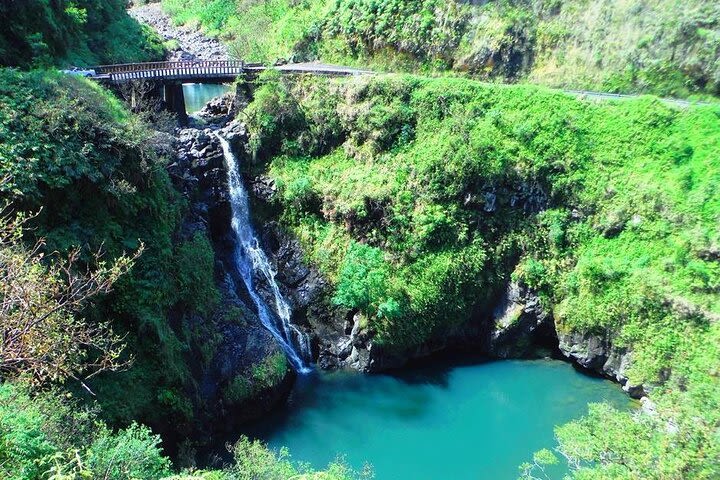 Road to Hana Private Jungle Tour with Lahaina Side pick up image