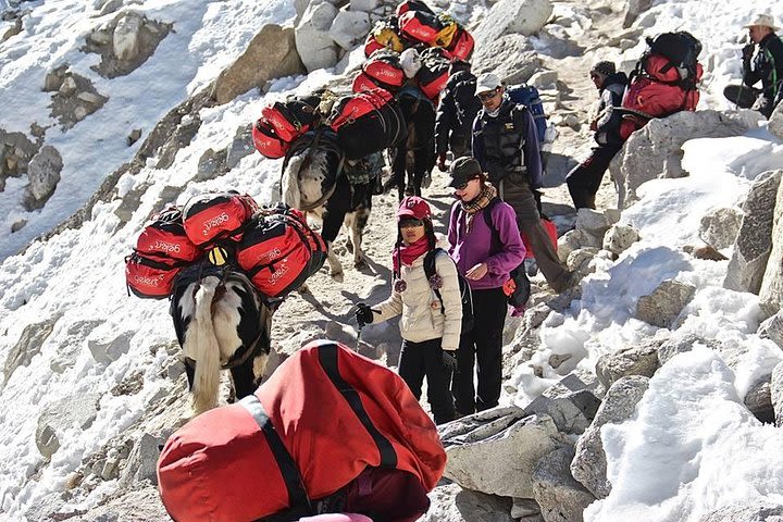 Everest Base Camp Trek image