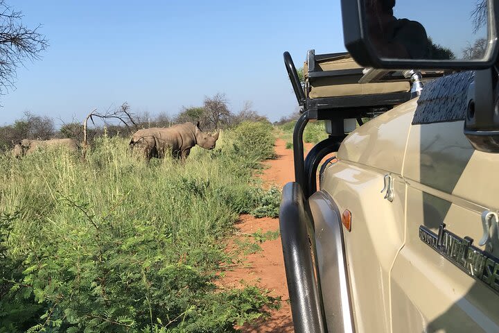 Safari Game Drive - Dinokeng Game Reserve  image