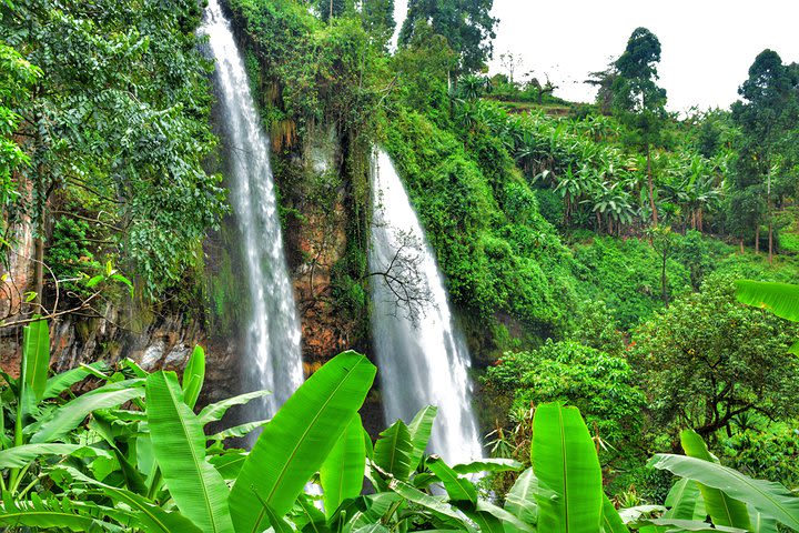 2 Days Sipi Falls Tour image