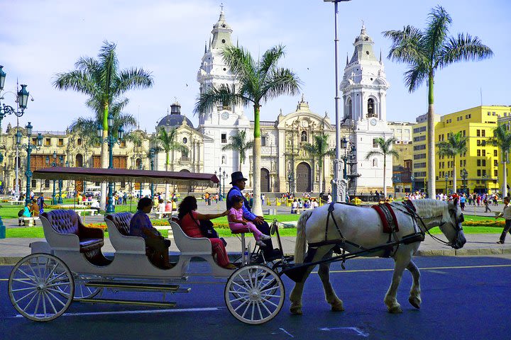 Artsy Barranco + Lima City Tour & Catacombs Museum (Small Group)  image