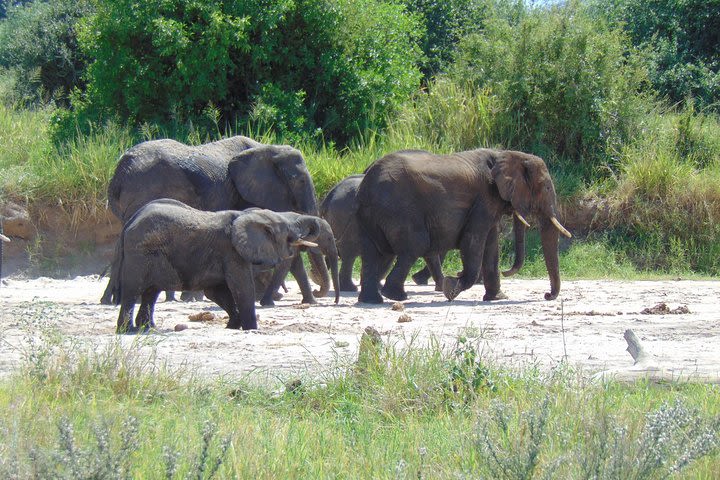 3 Day Safari to Tarangire, Lake Manyara and Ngorongoro Crater image