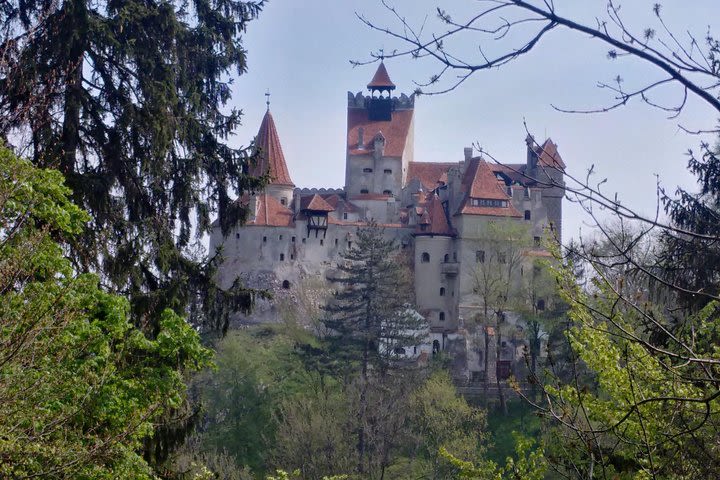 2-Day Transylvania Culture Trek from Brasov - Small Group Tour image