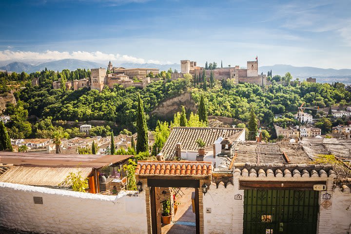 Alhambra and Generalife Private Guided Tour in Granada image