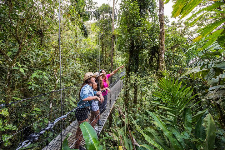 Mistico Park Hanging Bridges Guided Tour image